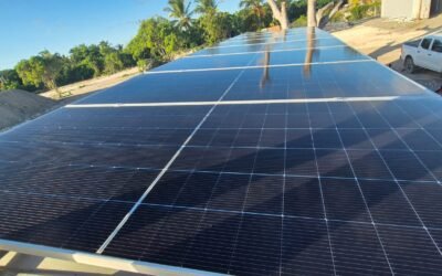 ¿Cómo funcionan los paneles solares?